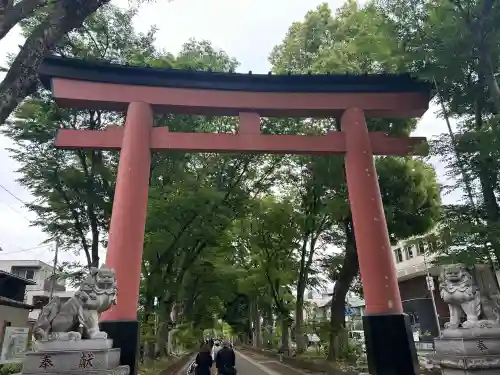 武蔵一宮氷川神社の{uncategorized: "未分類", other: "その他", undefined: "問題あり", building: "その他建物", grave: "お墓", sacred_gate: "鳥居", guardian: "狛犬", statue: "像", buddha: "仏像", history: "歴史", nature: "自然", garden: "庭園", animal: "動物", pagoda: "塔", temizu: "手水舎", mountain_gate: "山門・神門", sanctuary: "本殿・本堂", subordinate: "末社・摂社", art: "芸術", scenery: "景色", jizo: "地蔵", ema: "絵馬", goshuin: "御朱印", omikuji: "おみくじ", items: "授与品その他", amulet: "お守り", goshuincho: "御朱印帳", eats: "食事", festival: "お祭り", votive_dance: "神楽", shichigosan: "七五三参", wedding: "結婚式", experience: "体験その他", initially: "初詣", around: "周辺", anti_infection: "感染症対策"}