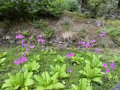大原寺勝林院の自然
