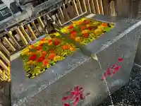 高円寺氷川神社の{uncategorized: "未分類", other: "その他", undefined: "問題あり", building: "その他建物", grave: "お墓", sacred_gate: "鳥居", guardian: "狛犬", statue: "像", buddha: "仏像", history: "歴史", nature: "自然", garden: "庭園", animal: "動物", pagoda: "塔", temizu: "手水舎", mountain_gate: "山門・神門", sanctuary: "本殿・本堂", subordinate: "末社・摂社", art: "芸術", scenery: "景色", jizo: "地蔵", ema: "絵馬", goshuin: "御朱印", omikuji: "おみくじ", items: "授与品その他", amulet: "お守り", goshuincho: "御朱印帳", eats: "食事", festival: "お祭り", votive_dance: "神楽", shichigosan: "七五三参", wedding: "結婚式", experience: "体験その他", initially: "初詣", around: "周辺", anti_infection: "感染症対策"}