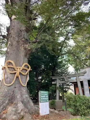 出雲大社相模分祠(神奈川県)