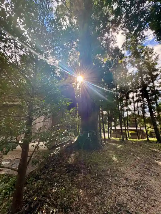 知波夜比古神社(広島県)