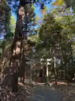 白幡神社(千葉県)