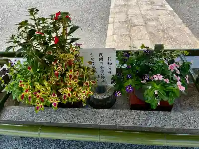 廣島護國神社(広島県)