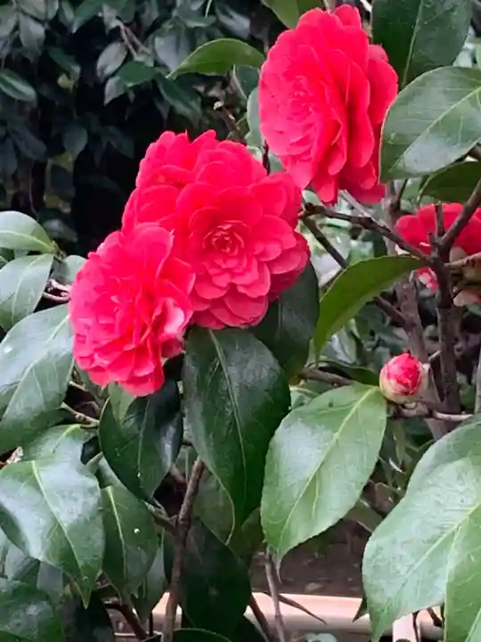 城南宮(京都府)