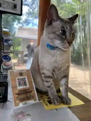 白鬚神社(宮崎県)