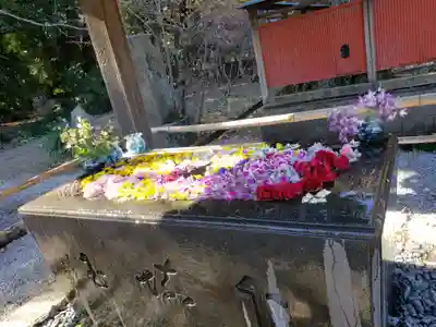 前玉神社(埼玉県)
