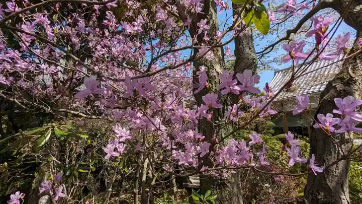 霊源院(京都府)