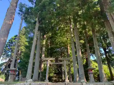 八幡神社の鳥居