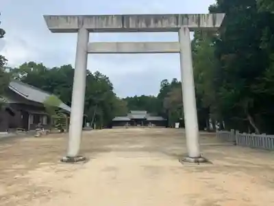 糟目春日神社の鳥居