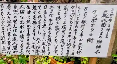 戸越八幡神社(東京都)