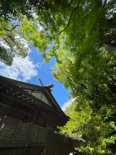 猿田彦神社(三重県)
