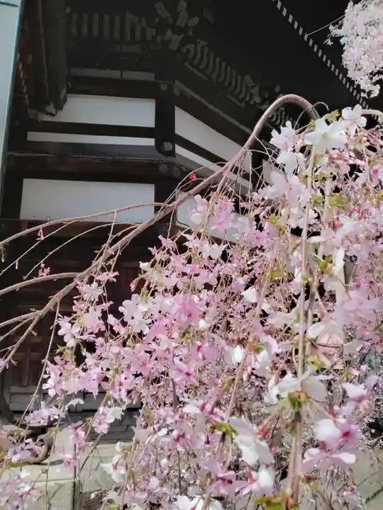 頂法寺(六角堂)(京都府)