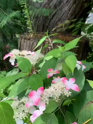 釜八幡神社(栃木県)
