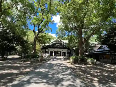 王子神社の本殿・本堂