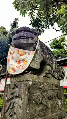 菊田神社の狛犬