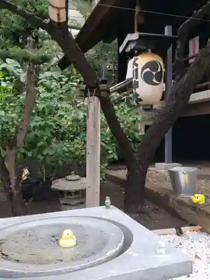 高円寺氷川神社(東京都)