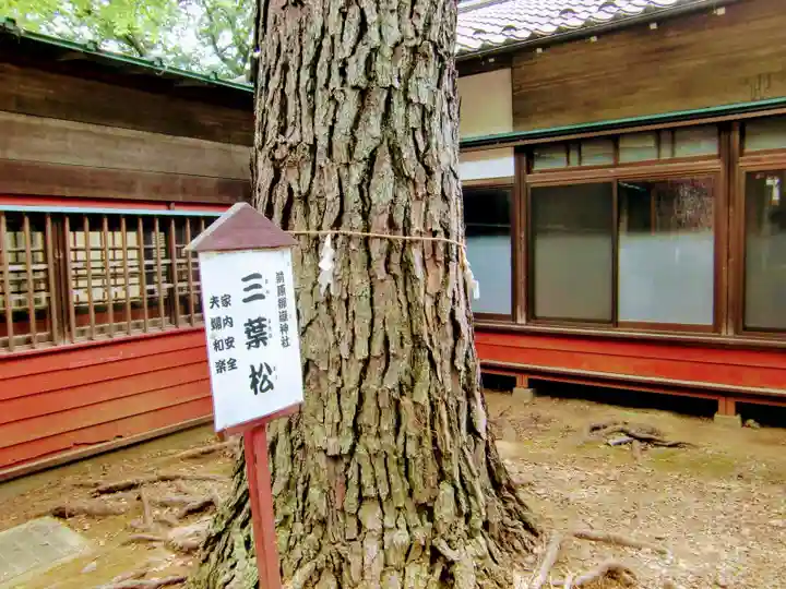 前原御嶽神社の自然