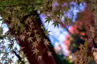 貴船神社(京都府)