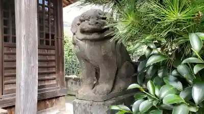 神明神社の狛犬