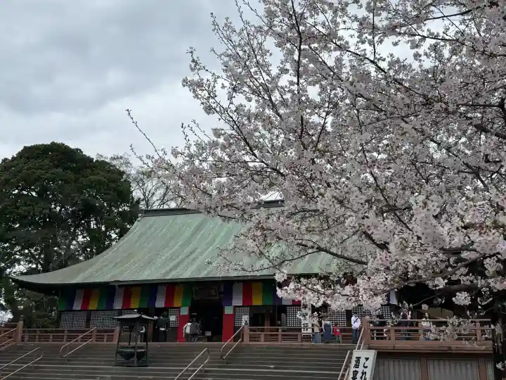 喜多院の{uncategorized: "未分類", other: "その他", undefined: "問題あり", building: "その他建物", grave: "お墓", sacred_gate: "鳥居", guardian: "狛犬", statue: "像", buddha: "仏像", history: "歴史", nature: "自然", garden: "庭園", animal: "動物", pagoda: "塔", temizu: "手水舎", mountain_gate: "山門・神門", sanctuary: "本殿・本堂", subordinate: "末社・摂社", art: "芸術", scenery: "景色", jizo: "地蔵", ema: "絵馬", goshuin: "御朱印", omikuji: "おみくじ", items: "授与品その他", amulet: "お守り", goshuincho: "御朱印帳", eats: "食事", festival: "お祭り", votive_dance: "神楽", shichigosan: "七五三参", wedding: "結婚式", experience: "体験その他", initially: "初詣", around: "周辺", anti_infection: "感染症対策"}