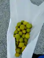 長福寺(東京都)