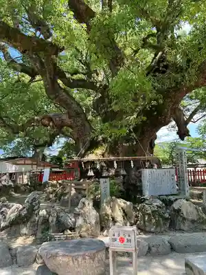 宇美八幡宮(福岡県)