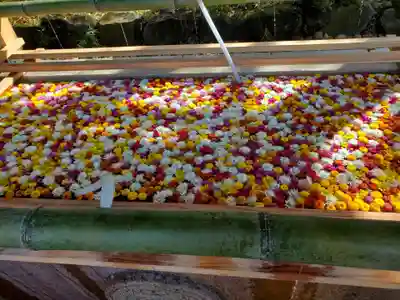 笠間稲荷神社の手水舎