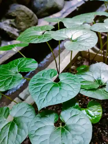 伊賀東照宮(三重県)