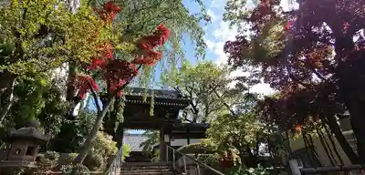 法輪寺の山門・神門