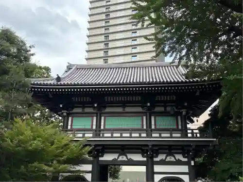 青松寺(東京都)