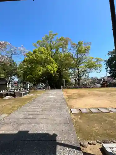 補陀洛山寺(和歌山県)
