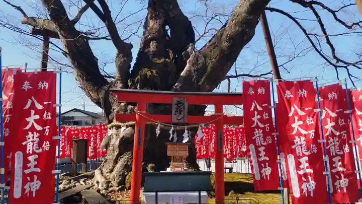 秩父今宮神社(埼玉県)