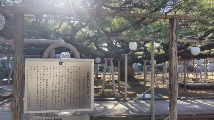 善養寺(東京都)