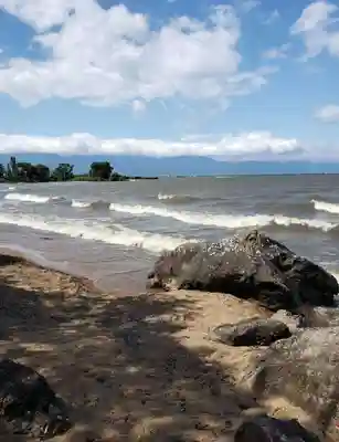 藤ヶ崎龍神社の周辺