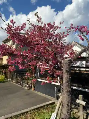川津来宮神社(静岡県)