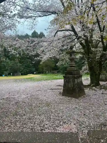 日先神社の{uncategorized: "未分類", other: "その他", undefined: "問題あり", building: "その他建物", grave: "お墓", sacred_gate: "鳥居", guardian: "狛犬", statue: "像", buddha: "仏像", history: "歴史", nature: "自然", garden: "庭園", animal: "動物", pagoda: "塔", temizu: "手水舎", mountain_gate: "山門・神門", sanctuary: "本殿・本堂", subordinate: "末社・摂社", art: "芸術", scenery: "景色", jizo: "地蔵", ema: "絵馬", goshuin: "御朱印", omikuji: "おみくじ", items: "授与品その他", amulet: "お守り", goshuincho: "御朱印帳", eats: "食事", festival: "お祭り", votive_dance: "神楽", shichigosan: "七五三参", wedding: "結婚式", experience: "体験その他", initially: "初詣", around: "周辺", anti_infection: "感染症対策"}