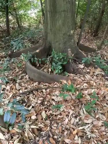 天道宮神明社（前原）(愛知県)