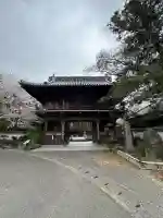霊山寺の{uncategorized: "未分類", other: "その他", undefined: "問題あり", building: "その他建物", grave: "お墓", sacred_gate: "鳥居", guardian: "狛犬", statue: "像", buddha: "仏像", history: "歴史", nature: "自然", garden: "庭園", animal: "動物", pagoda: "塔", temizu: "手水舎", mountain_gate: "山門・神門", sanctuary: "本殿・本堂", subordinate: "末社・摂社", art: "芸術", scenery: "景色", jizo: "地蔵", ema: "絵馬", goshuin: "御朱印", omikuji: "おみくじ", items: "授与品その他", amulet: "お守り", goshuincho: "御朱印帳", eats: "食事", festival: "お祭り", votive_dance: "神楽", shichigosan: "七五三参", wedding: "結婚式", experience: "体験その他", initially: "初詣", around: "周辺", anti_infection: "感染症対策"}