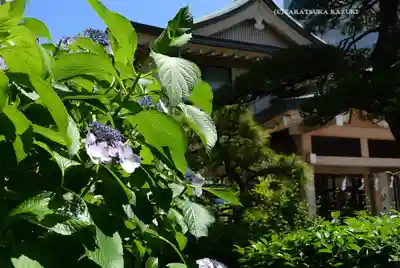 東京羽田 穴守稲荷神社(東京都)