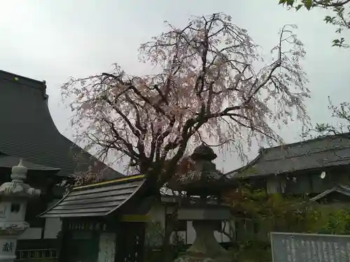超願寺(山梨県)