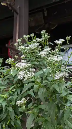 行願寺（革堂）(京都府)
