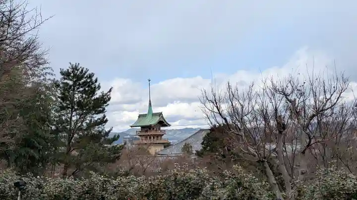 高台寺(高台寿聖禅寺・高臺寺)(京都府)