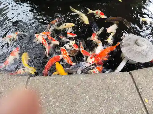 相模国総社六所神社(神奈川県)
