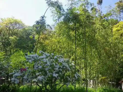 安國論寺（安国論寺）の自然