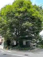小野神社(東京都)