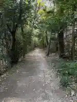 小島龍宮社の{uncategorized: "未分類", other: "その他", undefined: "問題あり", building: "その他建物", grave: "お墓", sacred_gate: "鳥居", guardian: "狛犬", statue: "像", buddha: "仏像", history: "歴史", nature: "自然", garden: "庭園", animal: "動物", pagoda: "塔", temizu: "手水舎", mountain_gate: "山門・神門", sanctuary: "本殿・本堂", subordinate: "末社・摂社", art: "芸術", scenery: "景色", jizo: "地蔵", ema: "絵馬", goshuin: "御朱印", omikuji: "おみくじ", items: "授与品その他", amulet: "お守り", goshuincho: "御朱印帳", eats: "食事", festival: "お祭り", votive_dance: "神楽", shichigosan: "七五三参", wedding: "結婚式", experience: "体験その他", initially: "初詣", around: "周辺", anti_infection: "感染症対策"}