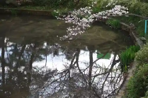 冥応寺の庭園