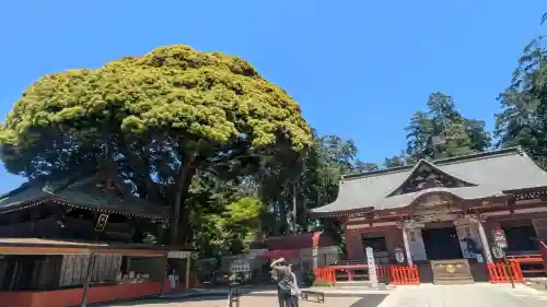 大前神社の{uncategorized: "未分類", other: "その他", undefined: "問題あり", building: "その他建物", grave: "お墓", sacred_gate: "鳥居", guardian: "狛犬", statue: "像", buddha: "仏像", history: "歴史", nature: "自然", garden: "庭園", animal: "動物", pagoda: "塔", temizu: "手水舎", mountain_gate: "山門・神門", sanctuary: "本殿・本堂", subordinate: "末社・摂社", art: "芸術", scenery: "景色", jizo: "地蔵", ema: "絵馬", goshuin: "御朱印", omikuji: "おみくじ", items: "授与品その他", amulet: "お守り", goshuincho: "御朱印帳", eats: "食事", festival: "お祭り", votive_dance: "神楽", shichigosan: "七五三参", wedding: "結婚式", experience: "体験その他", initially: "初詣", around: "周辺", anti_infection: "感染症対策"}