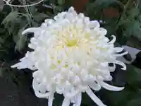 比々多神社の自然