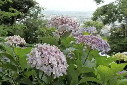 長谷寺の景色